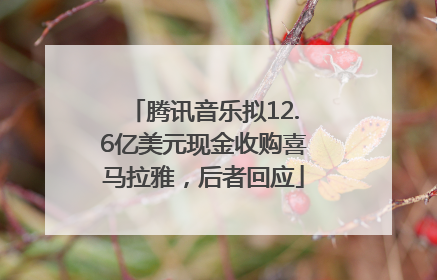 腾讯音乐拟12.6亿美元现金收购喜马拉雅，后者回应