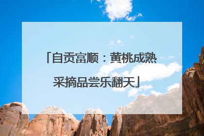 自贡富顺：黄桃成熟 采摘品尝乐翻天