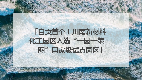 自贡首个！川南新材料化工园区入选“一园一策一图”国家级试点园区