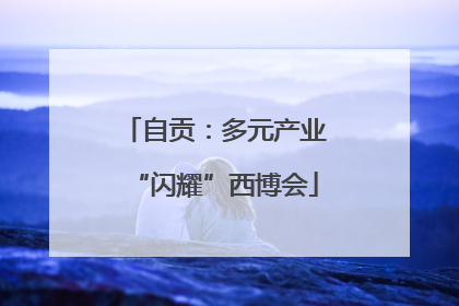 自贡：多元产业“闪耀”西博会