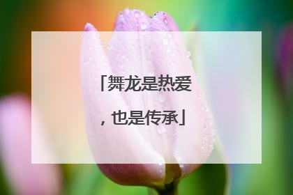 舞龙是热爱，也是传承