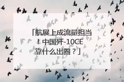 航展上成流量担当！中国歼-10CE靠什么出圈？