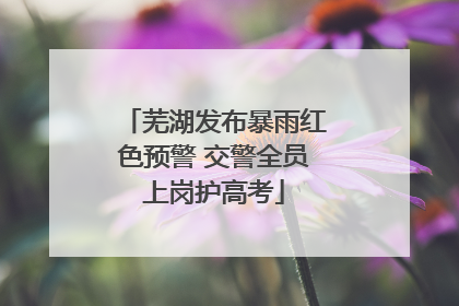 芜湖发布暴雨红色预警 交警全员上岗护高考