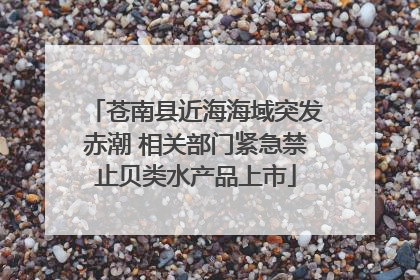 苍南县近海海域突发赤潮 相关部门紧急禁止贝类水产品上市