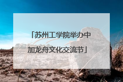 苏州工学院举办中加龙舟文化交流节