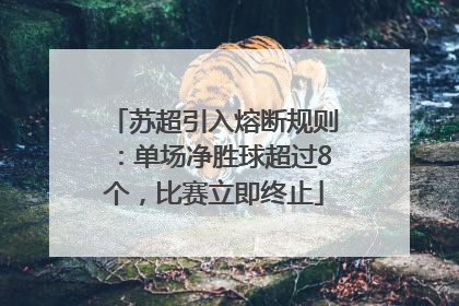 苏超引入熔断规则：单场净胜球超过8个，比赛立即终止