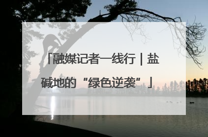融媒记者一线行｜盐碱地的“绿色逆袭”