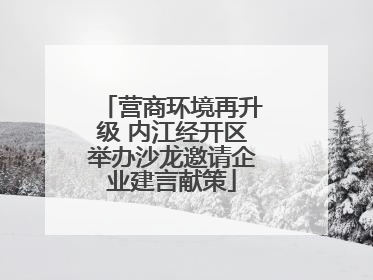 营商环境再升级 内江经开区举办沙龙邀请企业建言献策