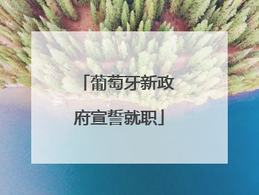 葡萄牙新政府宣誓就职
