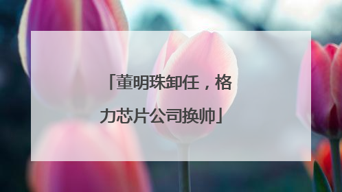 董明珠卸任，格力芯片公司换帅