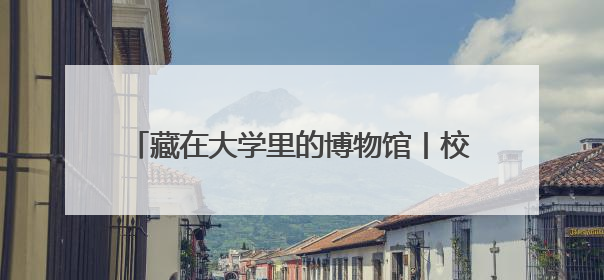 藏在大学里的博物馆丨校园里奇妙的“动物世界”——走进河北大学博物馆