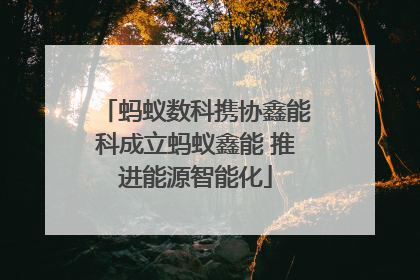 蚂蚁数科携协鑫能科成立蚂蚁鑫能 推进能源智能化