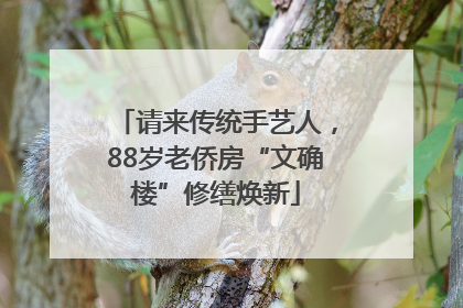 请来传统手艺人，88岁老侨房“文确楼”修缮焕新