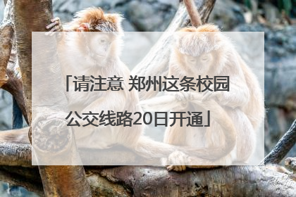 请注意 郑州这条校园公交线路20日开通