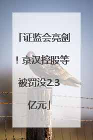 证监会亮剑！京汉控股等被罚没2.3亿元