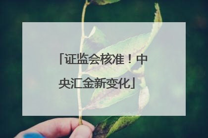 证监会核准！中央汇金新变化