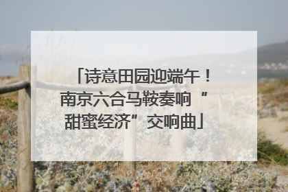 诗意田园迎端午！南京六合马鞍奏响“甜蜜经济”交响曲