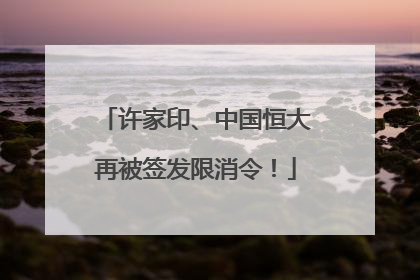 许家印、中国恒大再被签发限消令！
