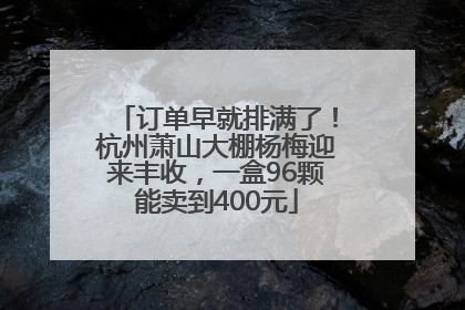 订单早就排满了！杭州萧山大棚杨梅迎来丰收，一盒96颗能卖到400元