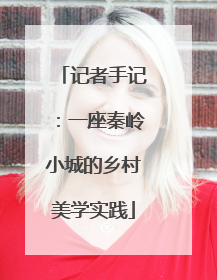 记者手记：一座秦岭小城的乡村美学实践