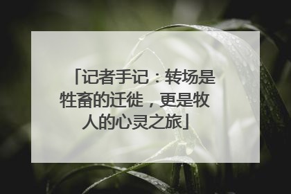 记者手记：转场是牲畜的迁徙，更是牧人的心灵之旅
