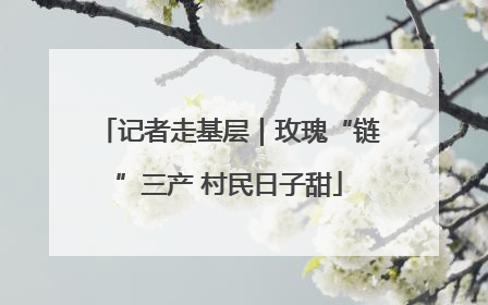记者走基层｜玫瑰“链”三产 村民日子甜