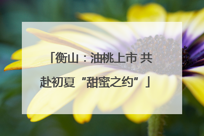 衡山：油桃上市 共赴初夏“甜蜜之约”