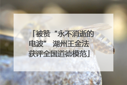 被赞“永不消逝的电波” 湖州王金法获评全国道德模范
