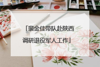 裴金佳带队赴陕西调研退役军人工作
