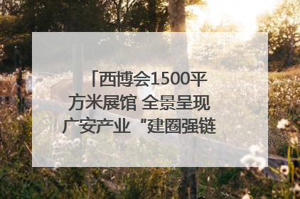 西博会1500平方米展馆 全景呈现广安产业“建圈强链”｜西博视界