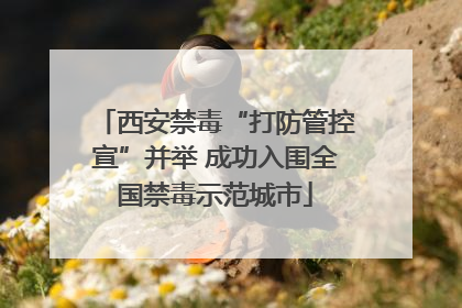 西安禁毒“打防管控宣”并举 成功入围全国禁毒示范城市