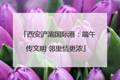 西安浐灞国际港：端午传文明 邻里情更浓