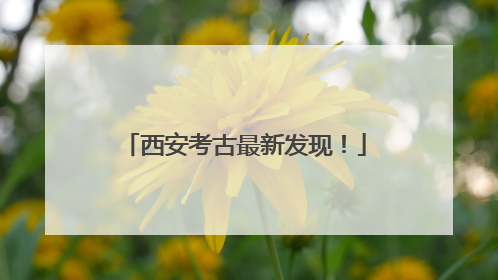 西安考古最新发现！
