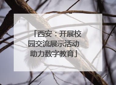 西安：开展校园交流展示活动助力数字教育