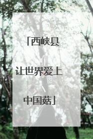 西峡县 让世界爱上中国菇