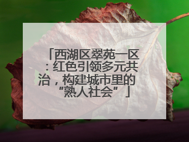 西湖区翠苑一区：红色引领多元共治，构建城市里的“熟人社会”
