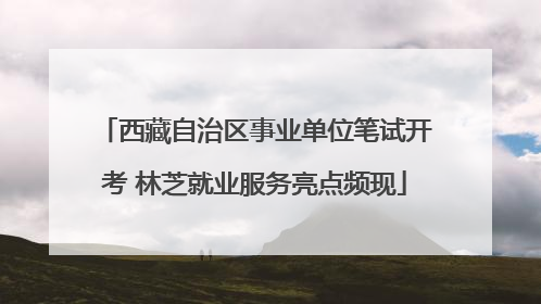 西藏自治区事业单位笔试开考 林芝就业服务亮点频现
