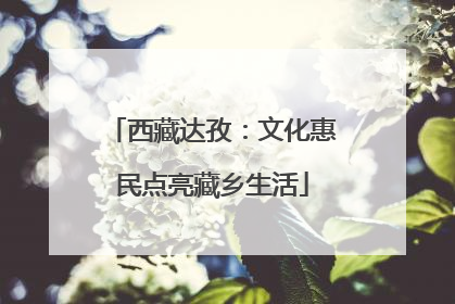 西藏达孜：文化惠民点亮藏乡生活