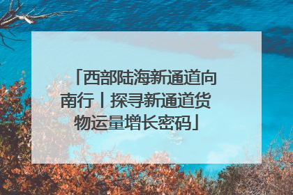西部陆海新通道向南行丨探寻新通道货物运量增长密码