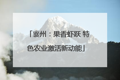 襄州：果香虾跃 特色农业激活新动能