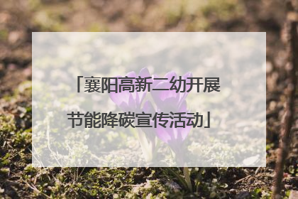 襄阳高新二幼开展节能降碳宣传活动