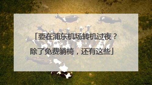 要在浦东机场转机过夜？除了免费躺椅，还有这些