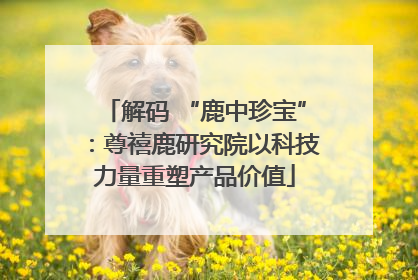 解码 “鹿中珍宝”：尊禧鹿研究院以科技力量重塑产品价值