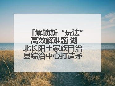 解锁新“玩法” 高效解难题 湖北长阳土家族自治县综治中心打造矛盾纠纷调处“终点站”