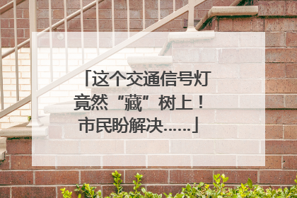 这个交通信号灯竟然“藏”树上！市民盼解决……