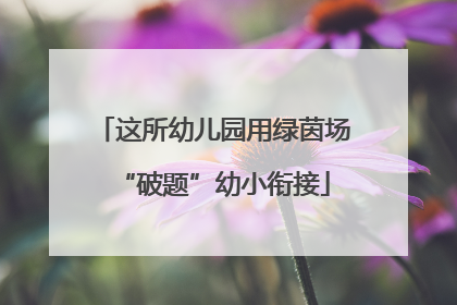 这所幼儿园用绿茵场“破题”幼小衔接