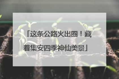这条公路火出圈！藏着集安四季神仙美景