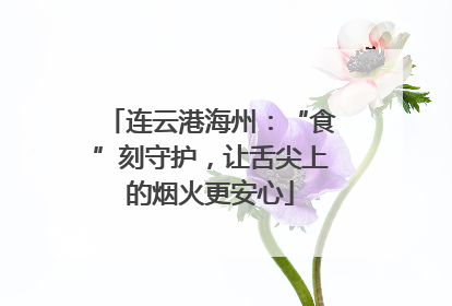 连云港海州：“食”刻守护，让舌尖上的烟火更安心