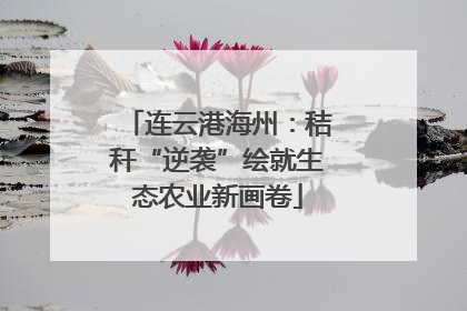 连云港海州：秸秆“逆袭”绘就生态农业新画卷