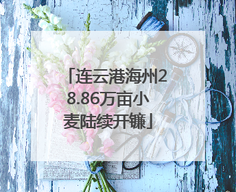 连云港海州28.86万亩小麦陆续开镰